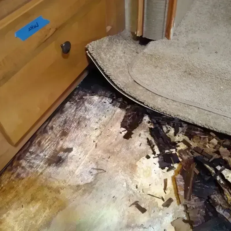 Wood Floor Water Damage in Saint Matthews, SC